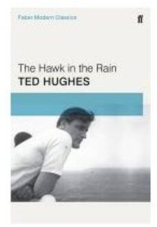 Hawk in the Rain (Faber Modern Classics)