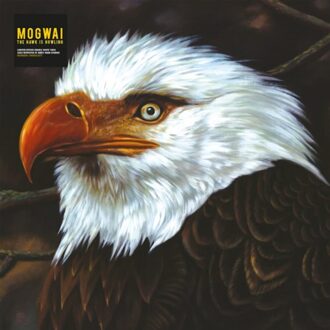 Hawk Is Howling - Mogwai