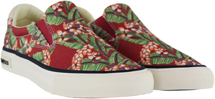 Hawthorne Rood Dames Plimsolls