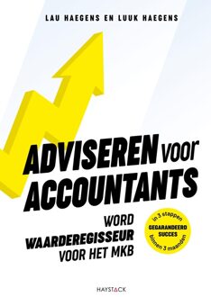 Haystack, Uitgeverij Adviseren voor accountants - Lau Haegens, Luuk Haegens - ebook