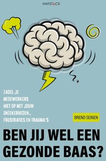 Haystack, Uitgeverij Ben jij wel een gezonde baas? - Brend Seinen - ebook