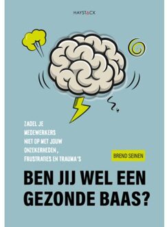 Haystack, Uitgeverij Ben Jij Wel Een Gezonde Baas? - Brend Seinen