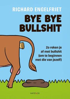 Haystack, Uitgeverij Bye bye bullshit - Richard Engelfriet - ebook