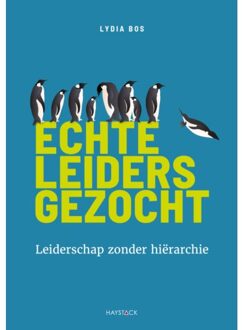 Haystack, Uitgeverij Echte leiders gezocht