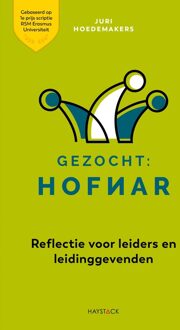 Haystack, Uitgeverij Gezocht: hofnar - Juri Hoedemakers - ebook