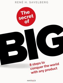 Haystack, Uitgeverij The secret of BIG - René Savelberg - ebook