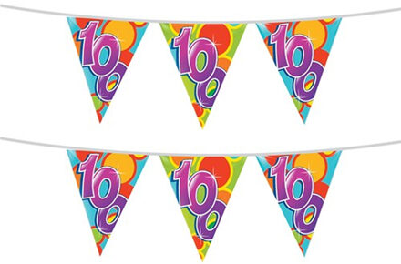 Haza 2x stuks leeftijd verjaardag thema vlaggetjes 100 jaar plastic 10 meter