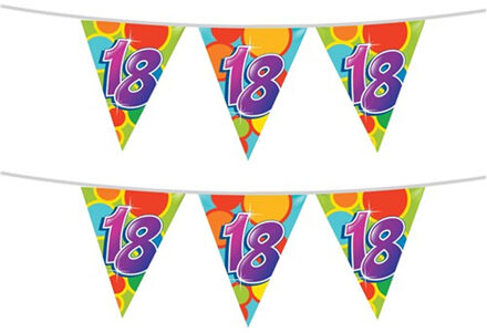 Haza 2x stuks leeftijd verjaardag thema vlaggetjes 18 jaar plastic 10 meter