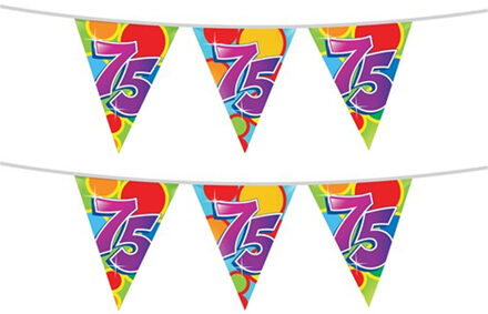 Haza 2x stuks leeftijd verjaardag thema vlaggetjes 75 jaar plastic 10 meter