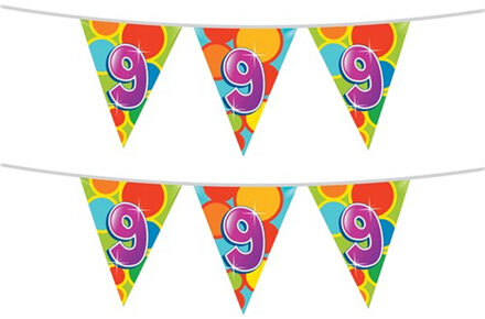 Haza 2x stuks leeftijd verjaardag thema vlaggetjes 9 jaar plastic 10 meter