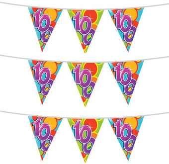 Haza 3x stuks leeftijd verjaardag thema vlaggetjes 100 jaar plastic 10 meter