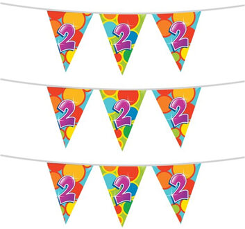 Haza 3x stuks leeftijd verjaardag thema vlaggetjes 2 jaar plastic 10 meter