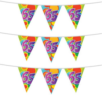 Haza 3x stuks leeftijd verjaardag thema vlaggetjes 65 jaar plastic 10 meter