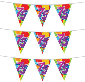 Haza 3x stuks leeftijd verjaardag thema vlaggetjes 75 jaar plastic 10 meter