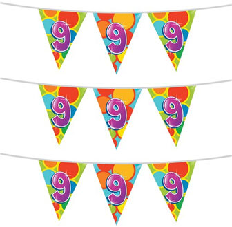 Haza 3x stuks leeftijd verjaardag thema vlaggetjes 9 jaar plastic 10 meter