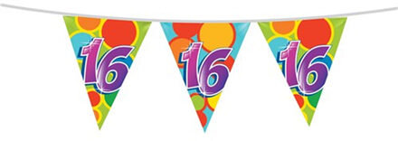 Haza Leeftijd verjaardag thema vlaggetjes 16 jaar plastic 10 meter Multi