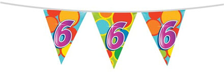 Haza Leeftijd verjaardag thema vlaggetjes 6 jaar plastic 10 meter