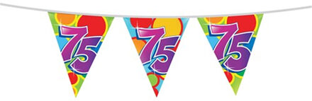 Haza Leeftijd verjaardag thema vlaggetjes 75 jaar plastic 10 meter Multi