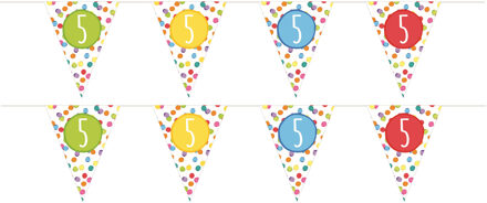 Haza Leeftijd Vlaggenlijn - 3x - 5 jaar - verjaardag versiering - vlaggetjes slinger - 6 m - kunststof