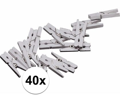Haza Mini knijpertjes - 40x st - zilver - 2 cm - hout - knijpers - miniknijpers