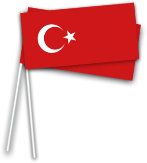 Haza Turkije zwaaivlaggetjes - 100x st - 21 x 12 cm - hand vlaggetjes - Turkse vlag - Landen vlaggen