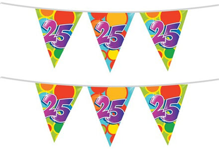 Haza Vlaggenlijn 25 jaar - 2x stuks - 10 meter - plastic - 25e verjaardag of jubileum versiering