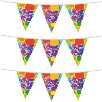Haza Vlaggenlijn 25 jaar - 3x stuks - 10 meter - plastic - 25e verjaardag of jubileum versiering
