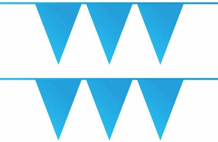 Haza Vlaggenlijn - 2x - blauw - 10 meter - kunststof - slingers
