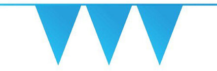 Haza Vlaggenlijn - blauw - 10 meter - kunststof - slingers