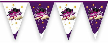 Haza Vlaggenlijn geslaagd thema - 10 meter - paars/wit - plastic - diploma examenfeest hangdecoratie Multi