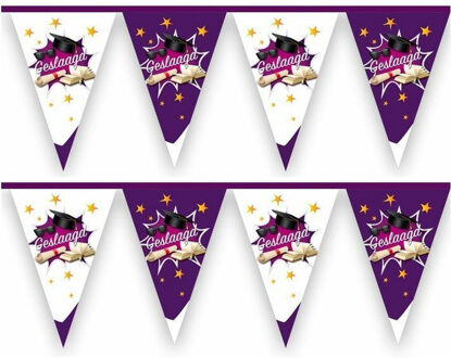 Haza Vlaggenlijn geslaagd thema - 2x - 10 meter - paars/wit - plastic - diploma examenfeest hangdecoratie