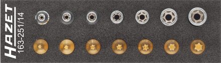 Hazet 163-251/14 Torx, Buiten-Torx Dopsleutel-bitinzetset 14-delig 1/4 (6.3 mm)