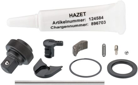 Hazet Reserveonderdelenset ratelwiel 863HP/11