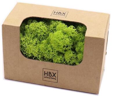 HBX natural living Basic Rendier Mos 50gr groen