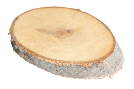 HBX natural living Decoratie boomschijf met schors - hout - L16 x B23 x H2 cm - ovaal