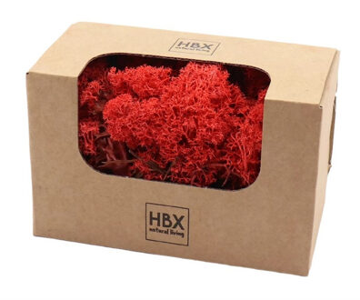 HBX natural living Decoratie mos - rood - 100 gram - rendiermos - hobby