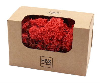 HBX natural living Decoratie mos - rood - 50 gram - rendiermos - hobby