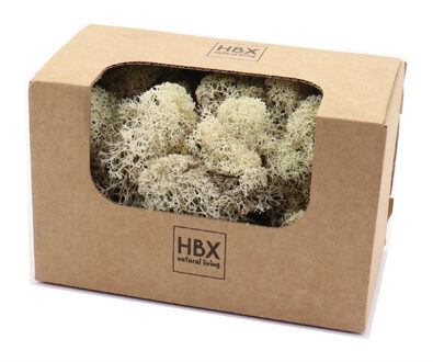 HBX natural living Decoratie mos - wit/naturel - 100 gram - rendiermos - hobby