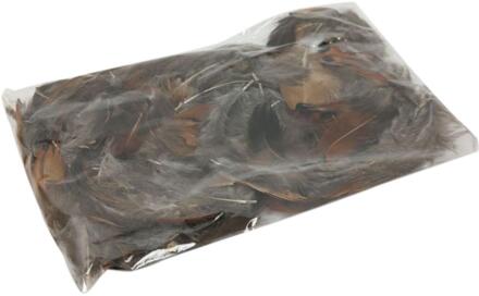 HBX natural living Decoratie veren fazant bruin