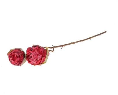 HBX natural living Decotak roos 45cm rood