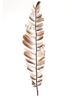 HBX natural living Decotak veren 60cm bruin