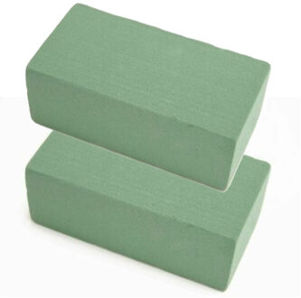 HBX natural living HBX Steekschuim/oase - 2x - nat - rechthoekig - groen - 23 x 11 x 8 cm - voor bloemen - bloemstukken