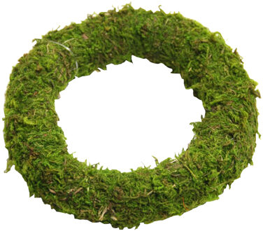 HBX natural living Krans Asia Mos Ø10cm Groen