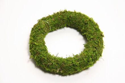 HBX natural living Krans Asia Mos Ø20cm Groen