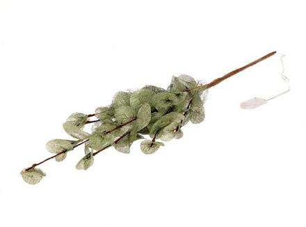 HBX natural living Kunsttak Euca Cinerea LED L72 Green groen