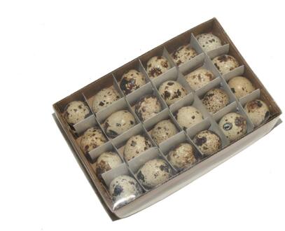 HBX natural living Kwartel eieren doos a 24 stuks bruin