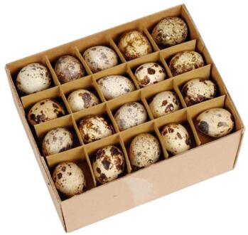 HBX natural living Kwartel eieren doos a 60 stuks bruin