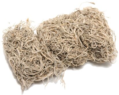 HBX natural living Mos Tillandsia 80gr Naturel grijs