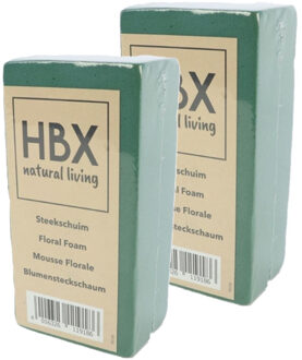 HBX natural living Oase steekschuim - 2x - groen - 20 x 10 x 7,5 cm - foam blokken - rechthoek