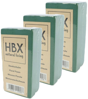 HBX natural living Oase steekschuim - 3x - groen - 20 x 10 x 7,5 cm - foam blokken - rechthoek